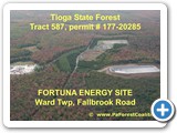 8320 Tioga State Forest Tract 587