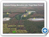 8328 Tioga State Forest Tract 587 and 6
                        Labels